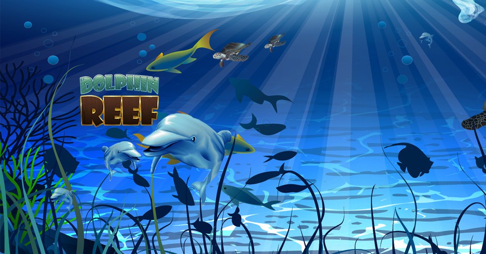Cara Menang Dolphin Reef